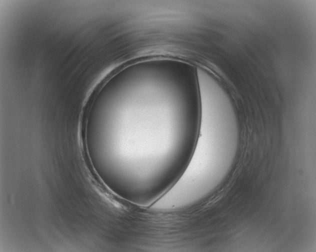 X0000062860788200601130946