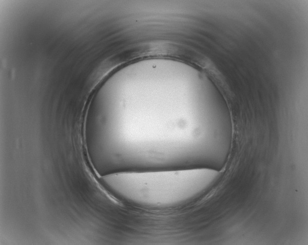 X0000062860794200601130946