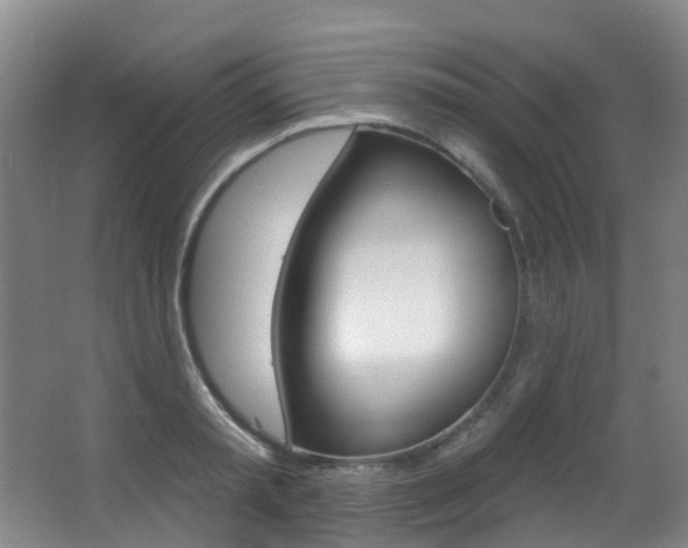X0000062860797200601130946