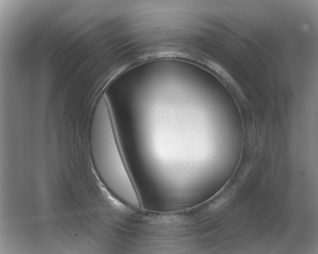 X0000062860801200601130946