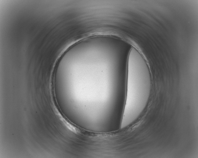 X0000062860803200601130946