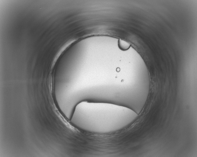X0000062860804200601130946