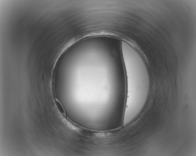 X0000062860805200601130946