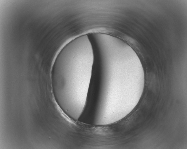 X0000062860808200601130946