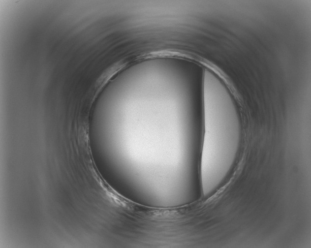 X0000062860809200601130946