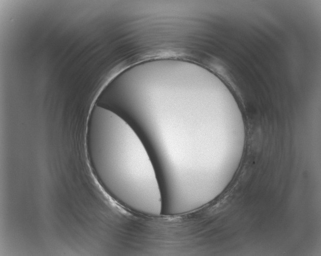 X0000062860810200601130946