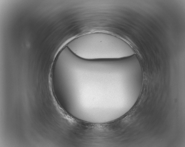 X0000062860814200601130946