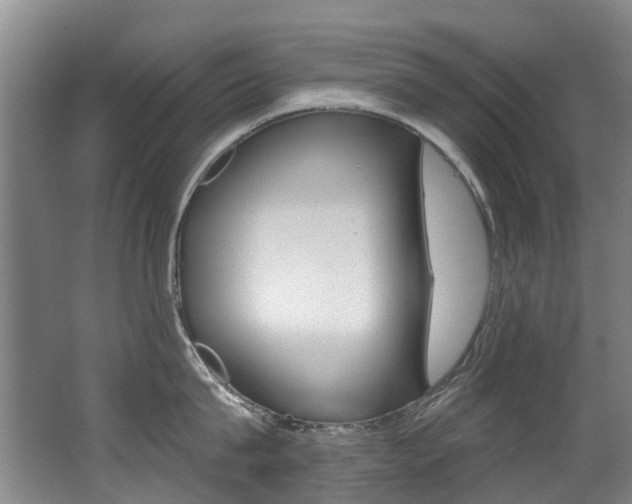 X0000062860815200601130946