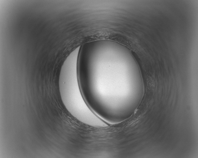 X0000062860818200601130945
