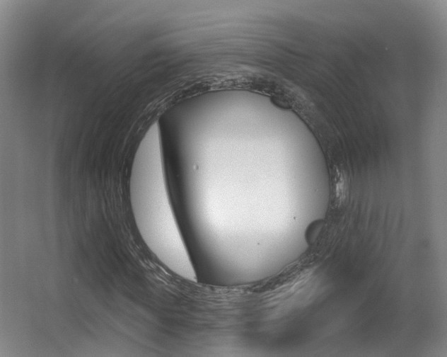 X0000062860819200601130945