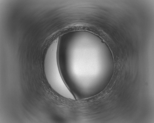 X0000062860821200601130945