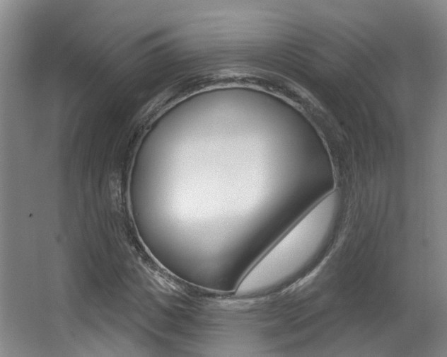 X0000062860825200601130945