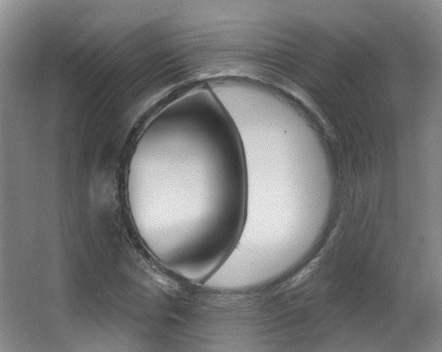 X0000062860826200601130945