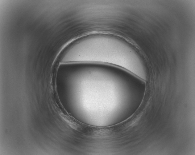 X0000062860830200601130945
