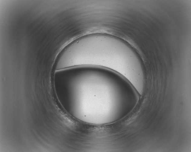 X0000062860834200601130945