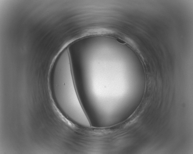 X0000062860843200601130945