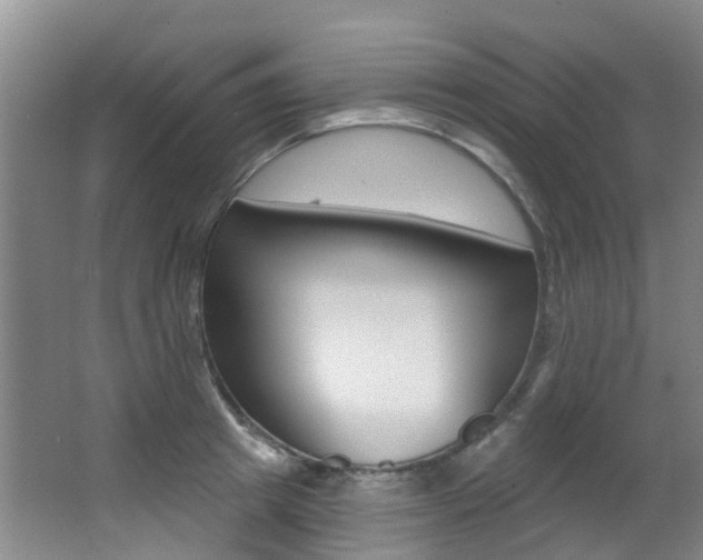 X0000062860849200601130946