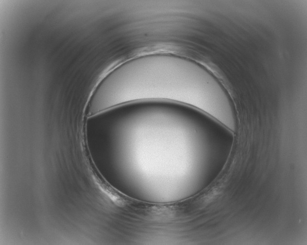 X0000062860850200601130946