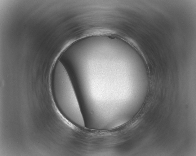 X0000062860851200601130946