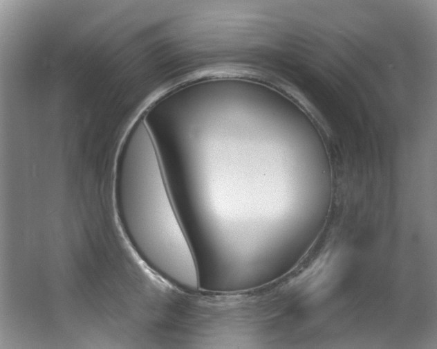 X0000062860853200601130946