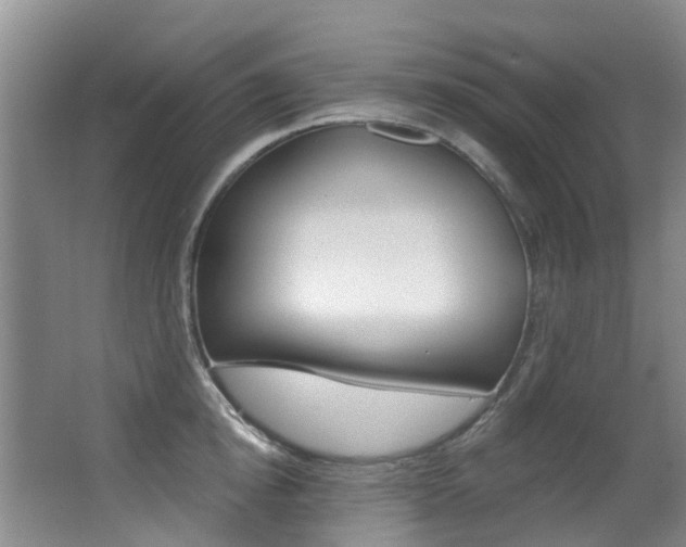 X0000062860854200601130946