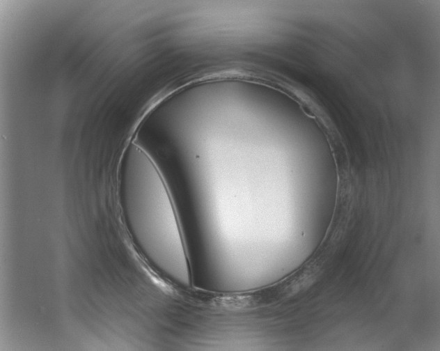 X0000062860858200601130946