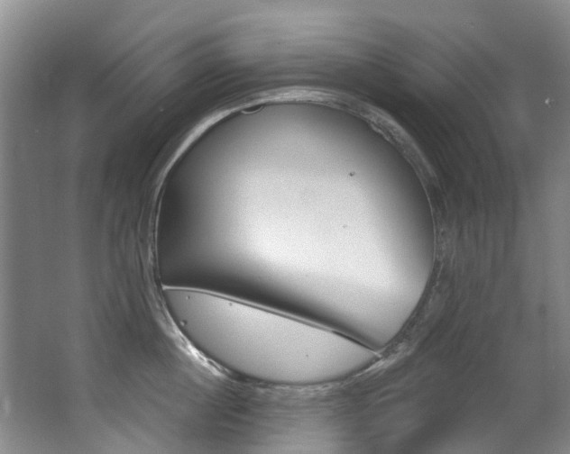 X0000062860860200601130946