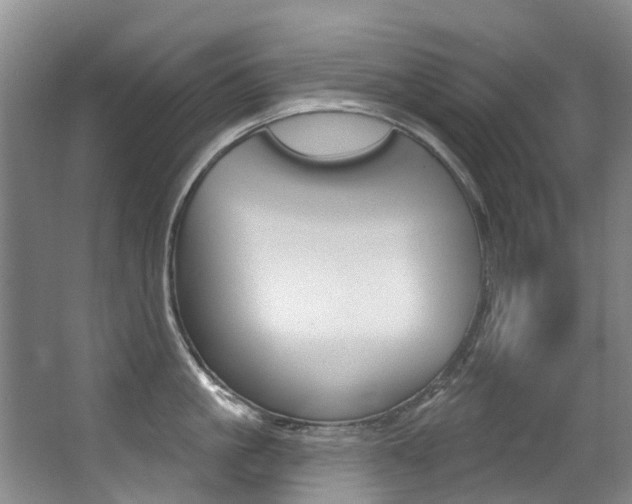 X0000062860861200601130946