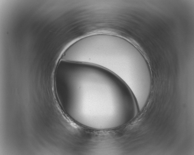 X0000062860862200601130946