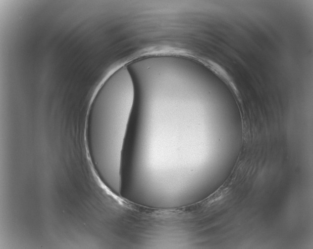 X0000062860863200601130946