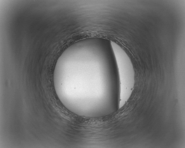 X0000062860865200601130945
