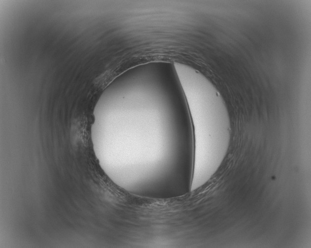 X0000062860867200601130945