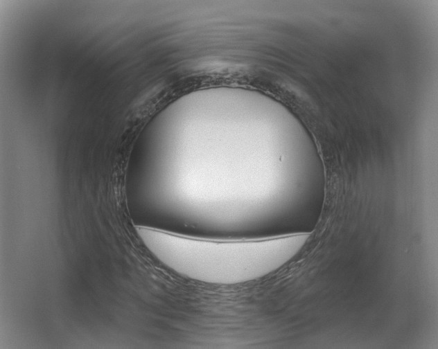 X0000062860869200601130945