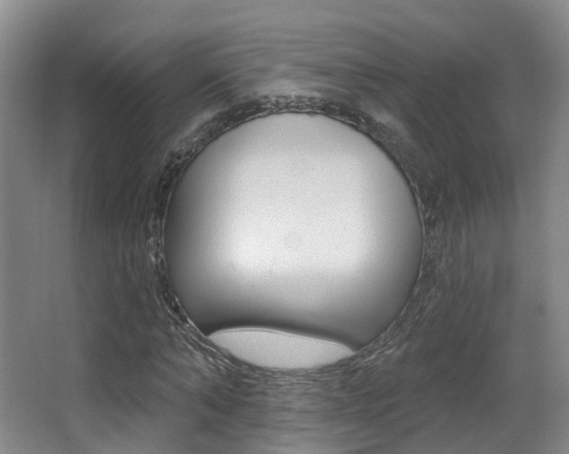 X0000062860870200601130945