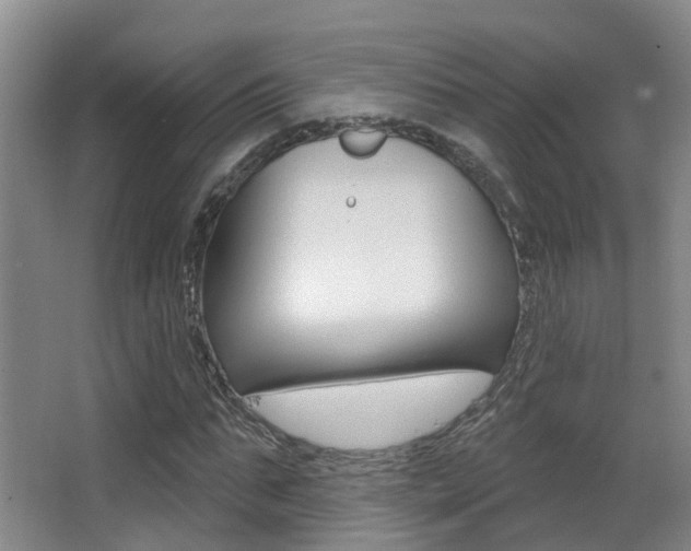 X0000062860871200601130945