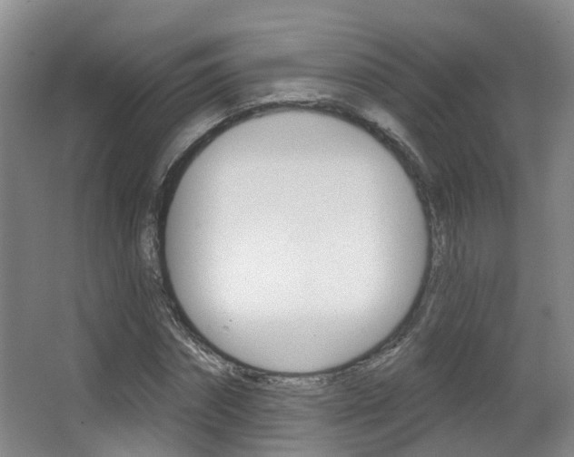 X0000062860874200601130945