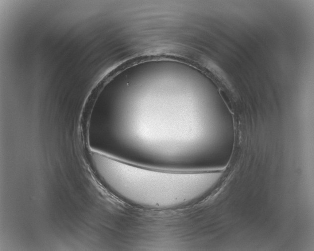 X0000062860876200601130945