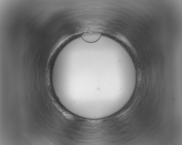 X0000062860878200601130945