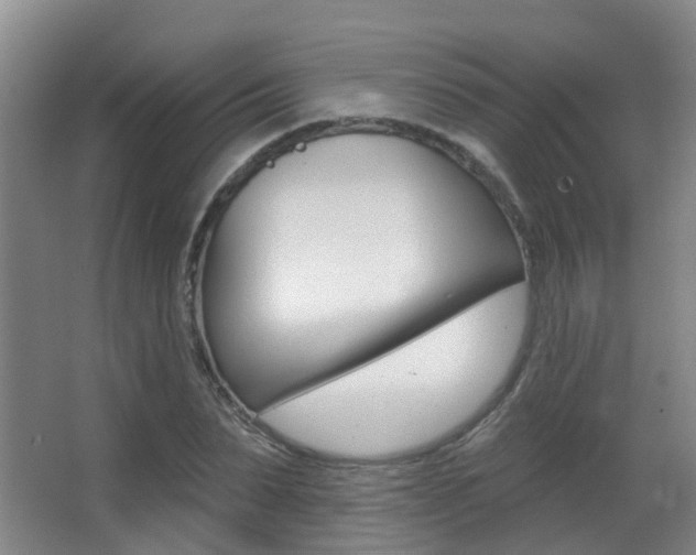 X0000062860879200601130945