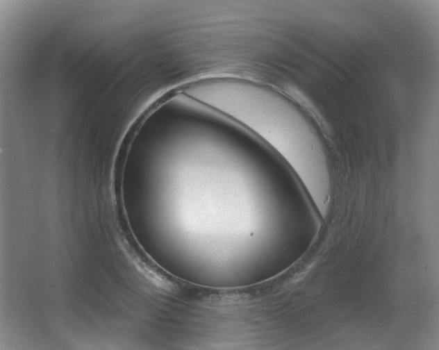 X0000062860884200601130945