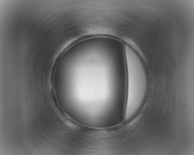 X0000062860885200601130945