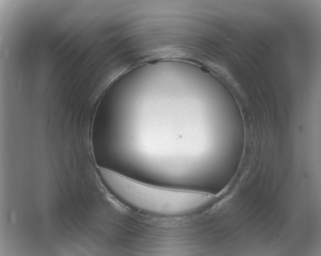 X0000062860889200601130945