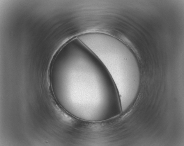 X0000062860892200601130945