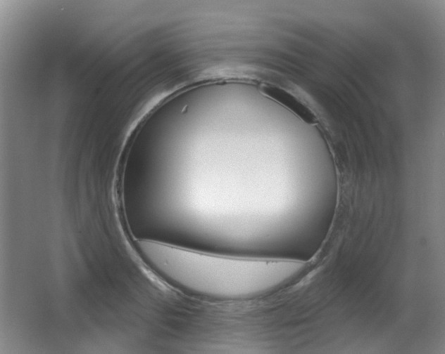 X0000062860893200601130945