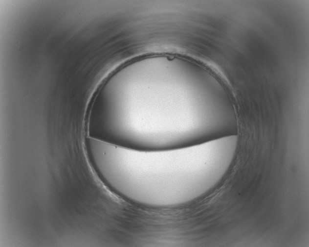 X0000062860895200601130944