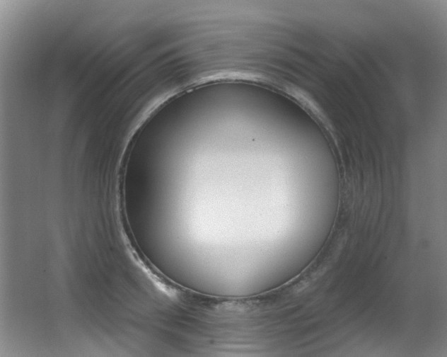 X0000062860898200601130944