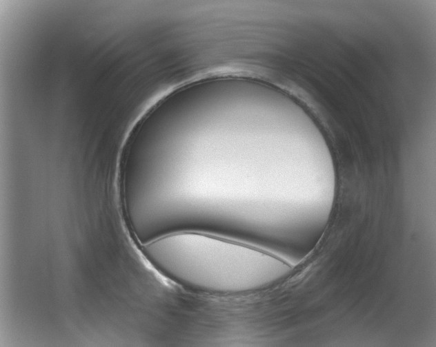X0000062860902200601130944