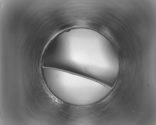 X0000062860908200601130944