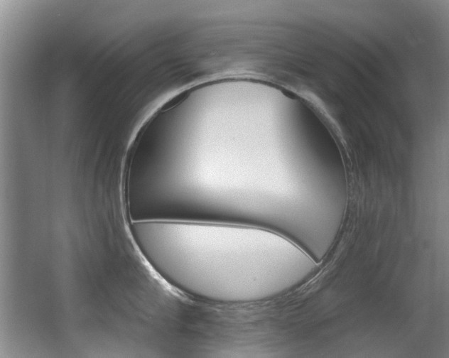 X0000062860910200601130944
