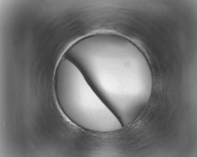 X0000062860911200601130944